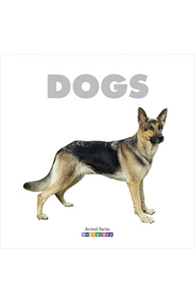 DOGS ANIMAL SERIES